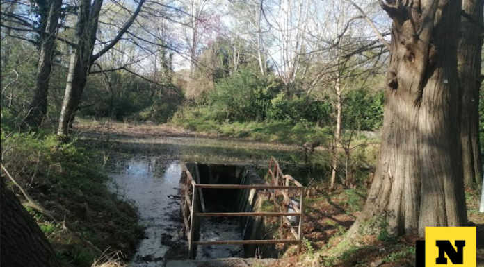 Merate, laghetto di San Rocco: la riqualificazione parte dal dragaggio Laghetto di San Rocco Merate