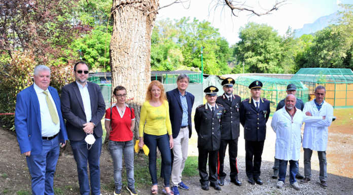 Calolzio. Presentato il Cras Stella del Nord: “Rifugio per animali selvatici in difficoltà”