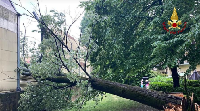 Maltempo: più di 20 interventi in meno di 3 ore nel Monzese