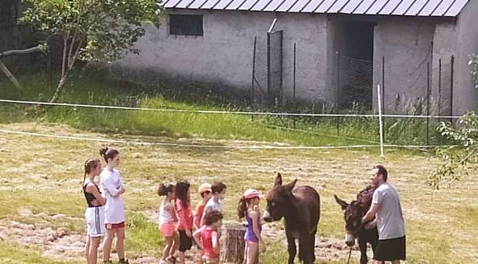 Cisco e Peppa, asinelli beniamini dei bimbi per un’iniziativa a Dervio