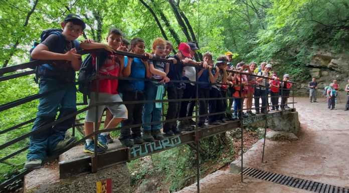 Cai Calolzio. L’Alpinismo Giovanile alla Riserva Naturale del Sasso Malascarpa