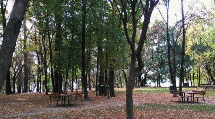 Amministrazione, associazioni, Ausm e Silea insieme nella giornata del Verde Pulito