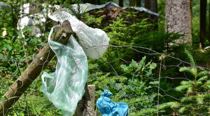 ll plogging piace a Casatenovo: una ventina le adesioni all’iniziativa