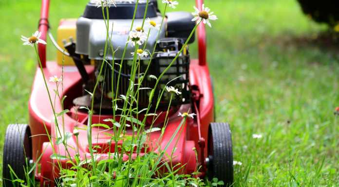 Sfalcio erba nelle scuole superiori, la Provincia stanzia oltre 140mila euro taglio erba e verde