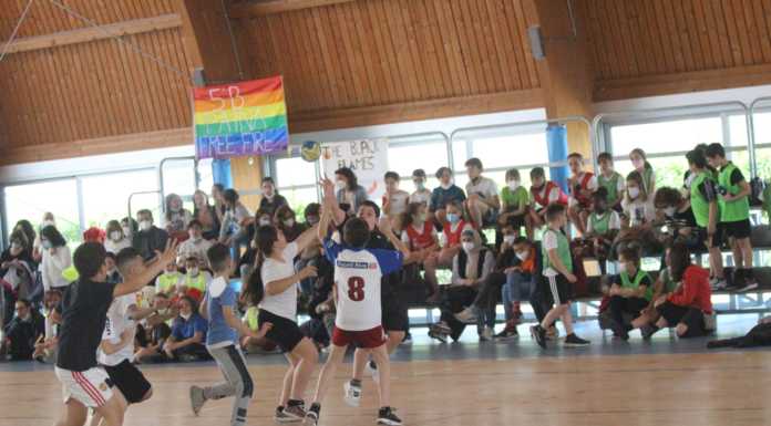 Pallamano Molteno. Torneo delle Scuole: “Evento da incorniciare e ripetere”