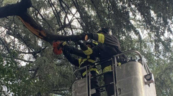Maltempo a Lecco, rami pericolanti in via Caldone