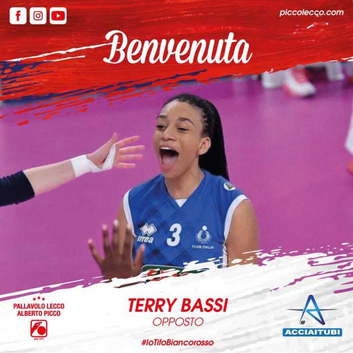 Terry Bassi