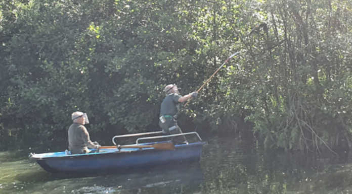Merate, Gev in ‘servizio’ sul lago di Sartirana salvano un airone impigliato