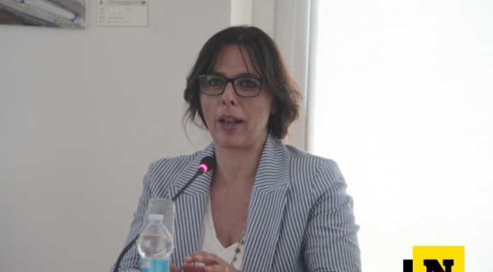 Provncia di Lecco: rilascio Spid per utenti Centro Impiego e Collocamento Disabili alessandra hoffman