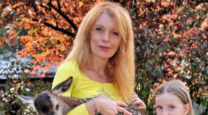 Calolzio. In meno di due anni oltre mille animali ricoverati al Cras Stella del Nord