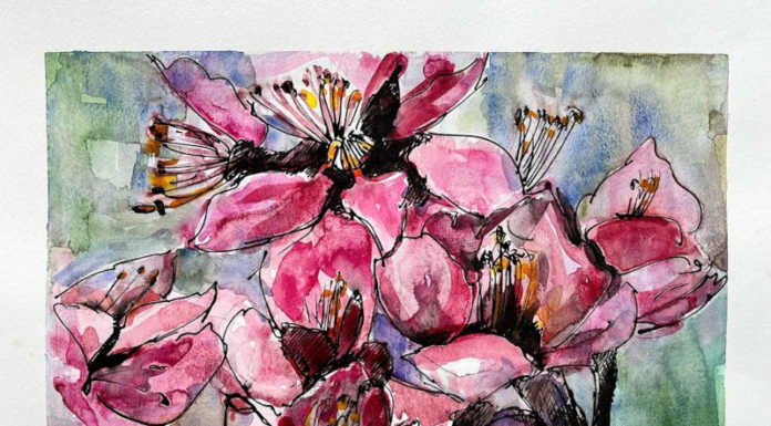 Festival della Letteratura. A Mandello la magia dei fiori nella mostra “Florilegio”