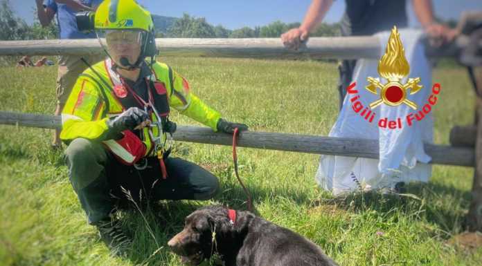 Cane colpito da malore in Grignetta, recuperato dai Vigili del Fuoco