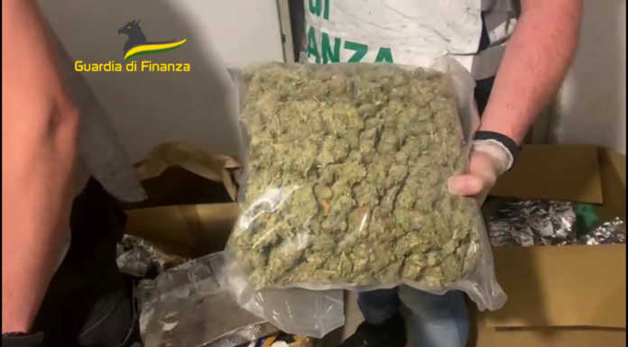 Como, sequestrato oltre un chilo di droga e quattro piante di marijuana