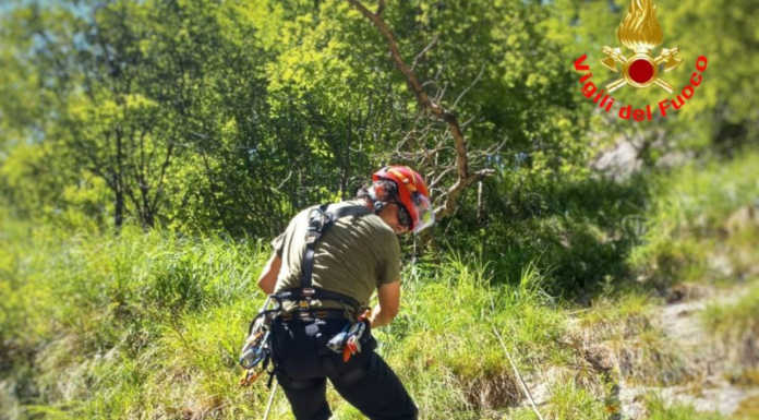 Mandello. I Vigili del Fuoco salvano il cane Pelu caduto in un torrente
