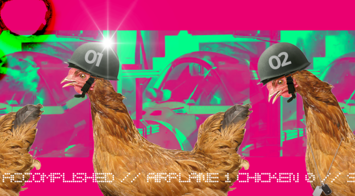 Alleanza Digitale. Una pistola spara-polli insegna il lavoro di squadra