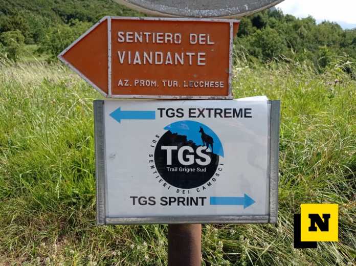 Segnaletica TGS e Sentiero del Viandante
