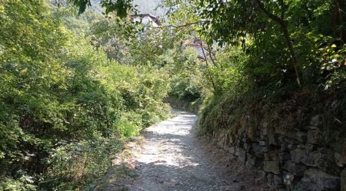 Strade agro-silvo-pastorali di Mandello: ottenuti i fondi per riqualificarle strada agro-silvo-pastorale mandello