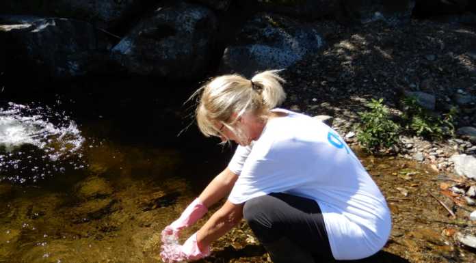 La Goletta dei Laghi ‘boccia’ il Lario: quattro foci su sei inquinate legambiente goletta dei laghi