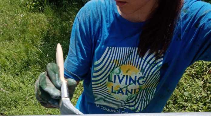 Living Land: oltre quattrocento giovani coinvolti nell’attività estiva