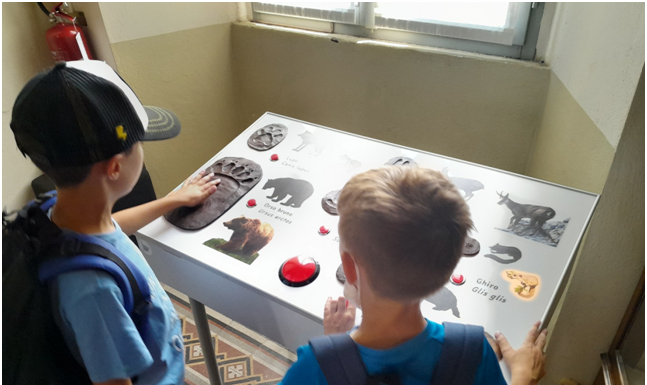 Concluso “Bel Tempo”: successo e partecipazione al CRE di Erve Cre Erve Bel Tempo 2022