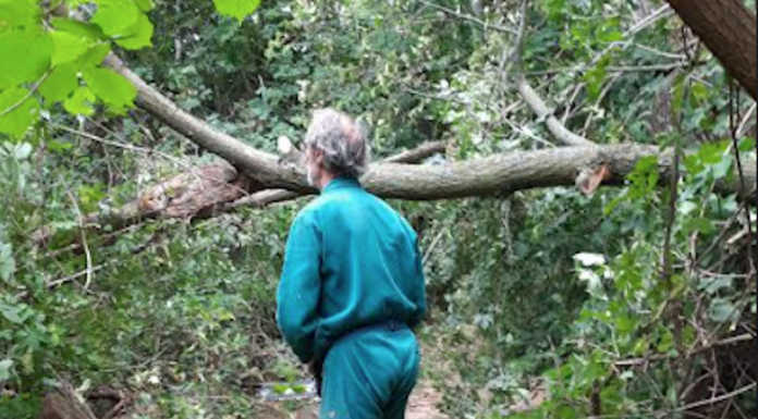 Olgiate, ripristinato il sentiero n° 1 grazie ai volontari di Cai, Monte di Brianza e Avaib