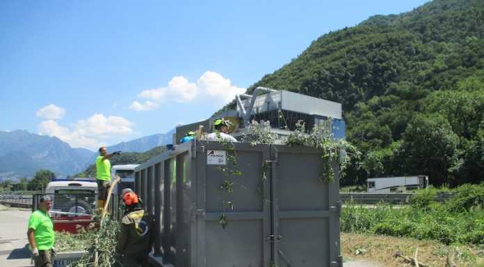 Valmadrera, pulizia e taglio della vegetazione infestante nell’alveo del Rio Torto pulizia rio torto