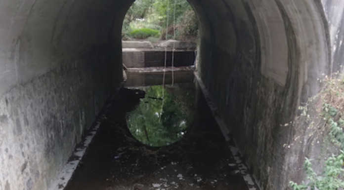 Siccità, il Circolo Ambiente Ilaria Alpi: “I torrenti dell’Oggionese stanno morendo” Torrente Bevera Siccità