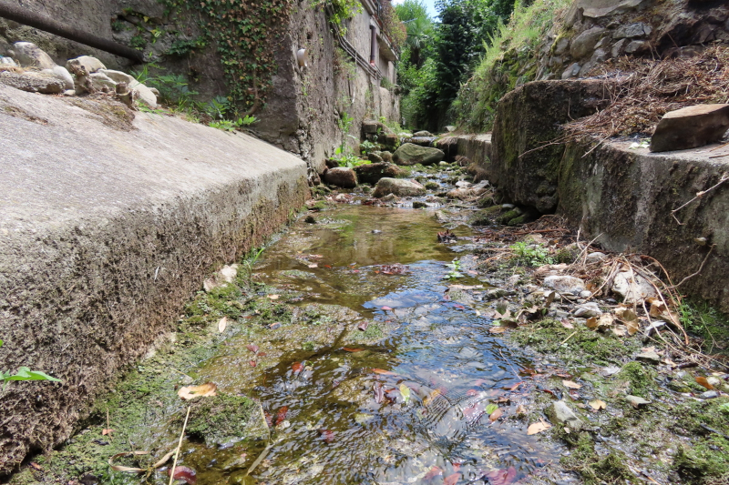 Il torrente Prisia a Monte Matenzo