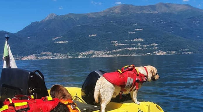 I volontari del salvataggio: “Spesso non si conoscono i pericoli del lago” Associazione Cinofila Salvataggio Nautico Bellano