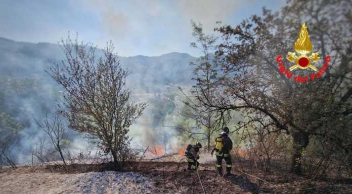 Incendio boschivo a Valgreghentino, Vigili del Fuoco al lavoro incendio boschivo valgreghentino
