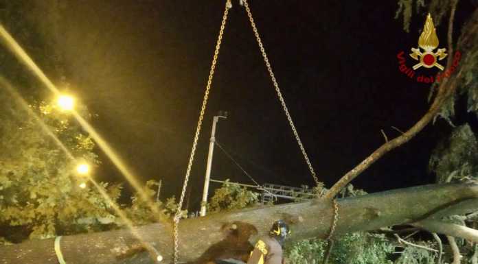 Maltempo, danni nel milanese. Diversi interventi dei pompieri Maltempo milano albero caduto vigili del fuoco