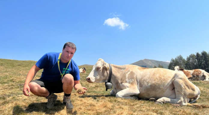Siccità. Emergenza anche negli alpeggi, per Coldiretti “I dati sono allarmanti” Siccità sugli alpeggi