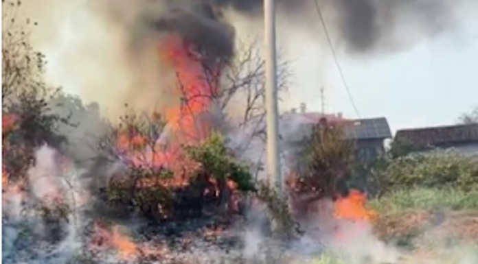 Vasto incendio in un campo: vigili del Fuoco in azione a Bernareggio Incendio Bernareggio