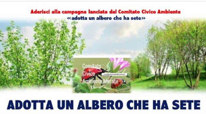 Merate, il comitato Ambiente lancia la campagna “Adotta un albero che ha sete”