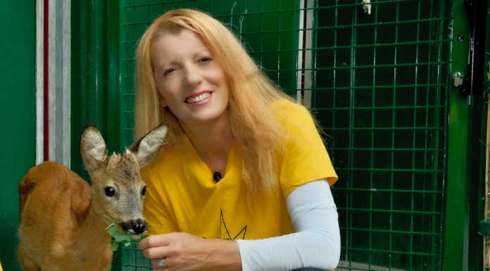 Elezioni. L’On. Brambilla con il Centrodestra in Sicilia: “Candidata indipendente” L'Onorevole Michela Vittoria Brambilla