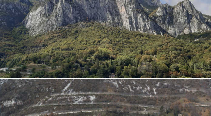 Il bosco avanza verso la città: fotografie di ieri e di oggi a confronto Oggi e ieri immagine vallo paramassi