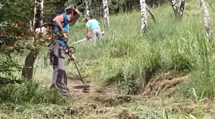 Conto alla rovescia per la Runvinata 2022: grandi lavori sui sentieri del Magnodeno Runvinata 2022 volontari al lavoro sui sentieri del Magnodeno