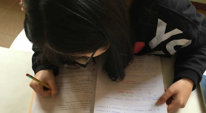 Informagiovani. Al via “Compiti-Amo”, un nuovo servizio di aiuto compiti