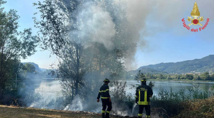 Calolzio. In fiamme il canneto al Lavello, intervento dei Vigili del Fuoco un incendio canneto calolzio 20220805