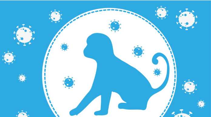 Vaiolo delle scimmie, 22 casi finora registrati nella nostra ATS