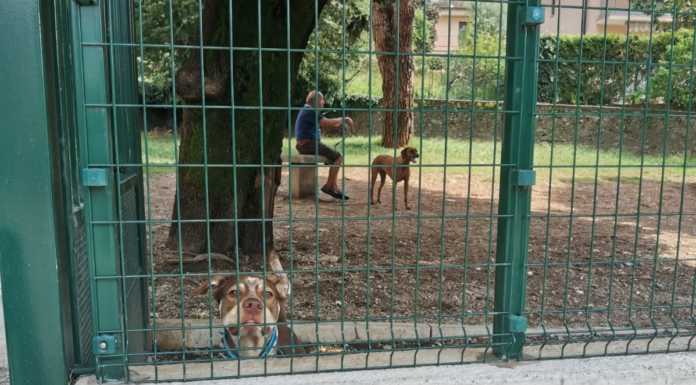 Lecco, aperture senza limiti di orario per otto aree cani della città area sgambamento cani comune lecco