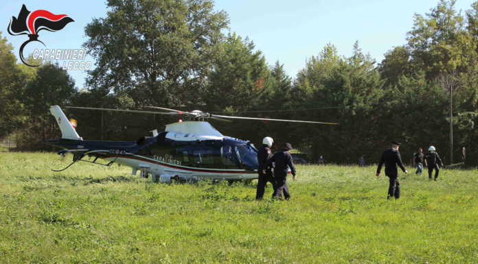 Carabinieri. Blitz antidroga nei boschi di Colico, arrestato uno spacciatore