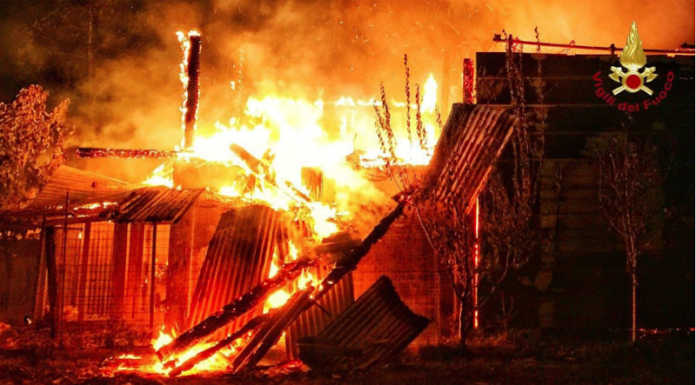 Monza: incendio in un capanno. Animali salvati dai Vigili del Fuoco Monza incendio capanno