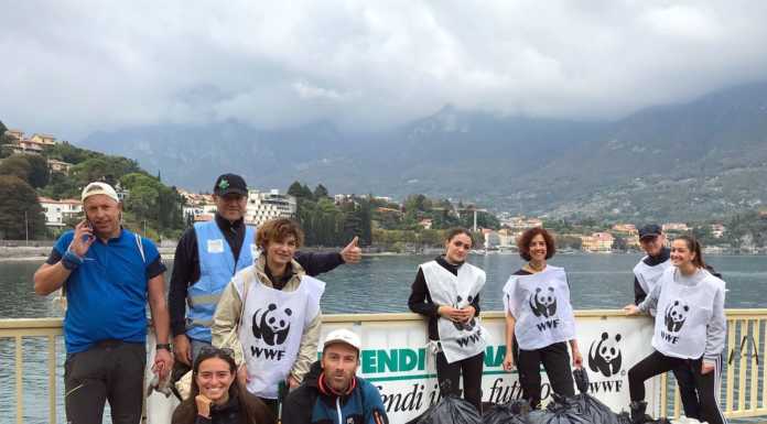 Lecco, il WWF ripulisce la spiaggia sul lungolago di Via Adda pulizia spiaggia via adda wwf lecco