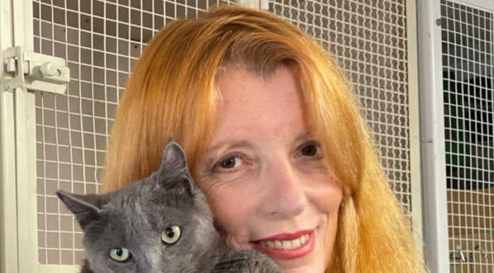 Ordinanza affama-randagi, Brambilla: “Bene la marcia indietro, ora il canile” L'onorevole Michela Vittoria Brambilla presidente di Leidaa