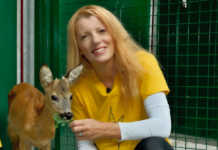 Tutela animali. Grandi risultati per la Legge Brambilla, centinaia di denunce Michela Vittoria Brambilla, onorevole e presidente della Leidaa, con uno degli animali salvati dal Cras Stella del Nord di Calolzio