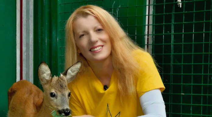 A Lecco basta cibo ai randagi, l’on. Brambilla si scaglia contro l’ordinanza del comune Michela Vittoria Brambilla, onorevole e presidente della Leidaa, con uno degli animali salvati dal Cras Stella del Nord di Calolzio