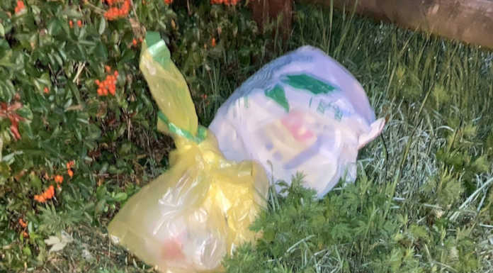 A Pescate senza scampo i furbetti della spazzatura, piovono ancora le multe Rifiuti abbandonati al Parco Torrette di Pescate