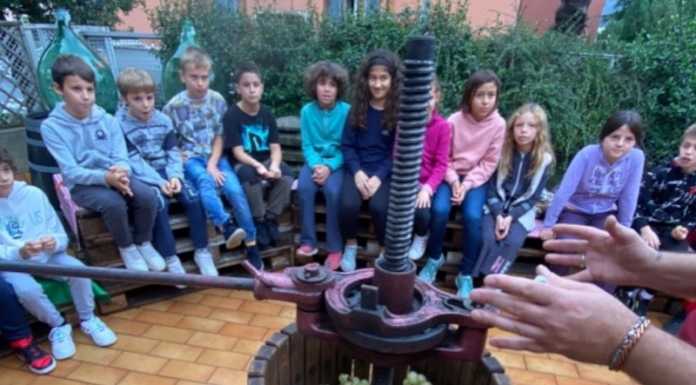 Lezione di spremitura di uva per gli alunni della scuola di Malnago Scuola Malnago lezione spremitura uva