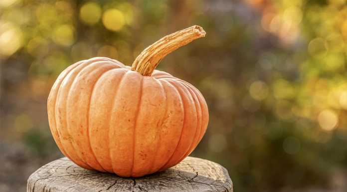 La salute vien mangiando. Zucca? Sì, nel dolce e nel salato! Zucca